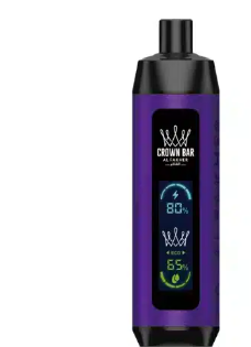 AL FAKHER CROWN BAR 8000 PRO DUAL MODE DISPOSABLE